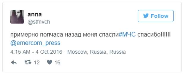 Месть Бонифация: москвичке пришлось вызвать МЧС после того, как кот ночью закрыл её на балконе балкон, животные, кот