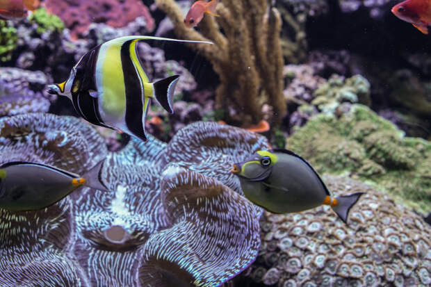 Seattle Washington Part 1-2.jpg