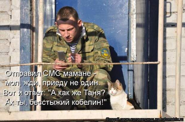 Лучшие котоматрицы недели Лучшие котоматрицы недели