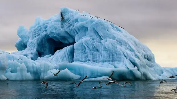 Путин рассказал об исследованиях в Арктике