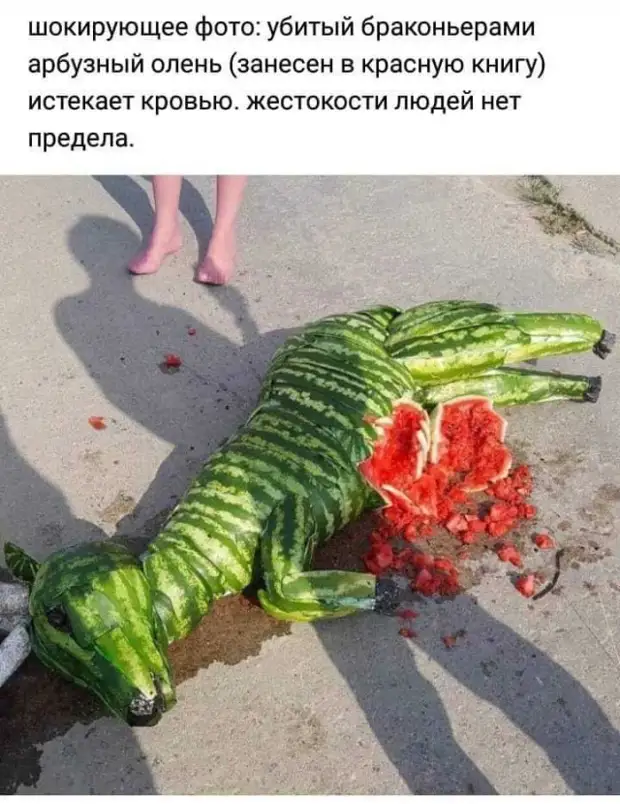 Отборный юмор - подборка смешных мемов с надписями