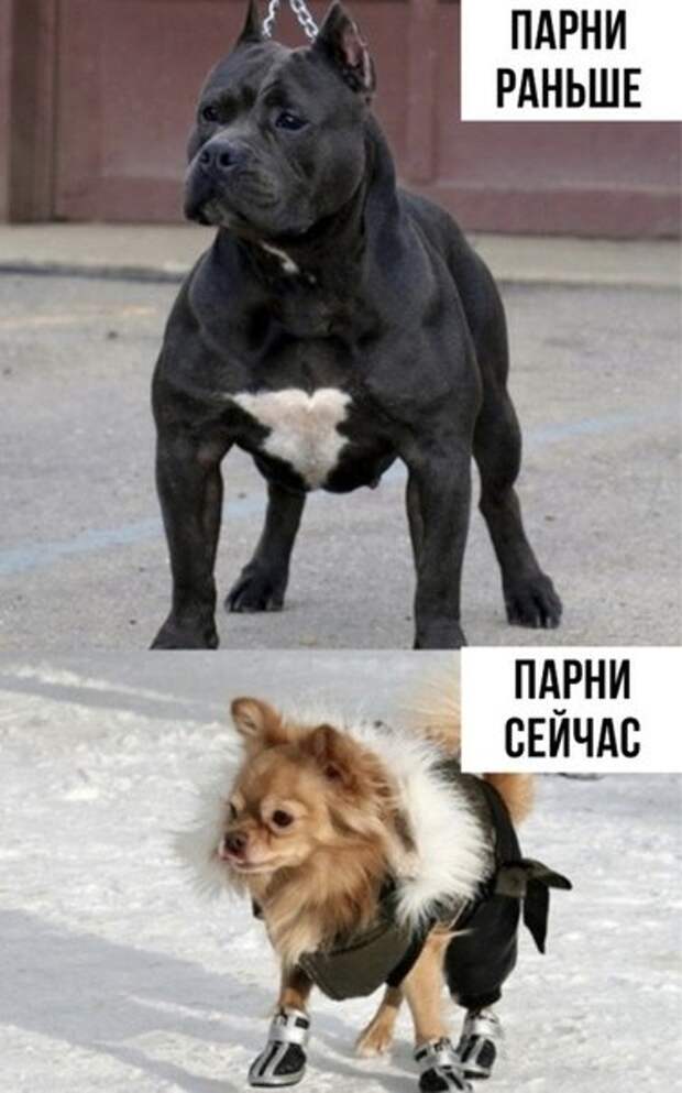С миру по нитке...