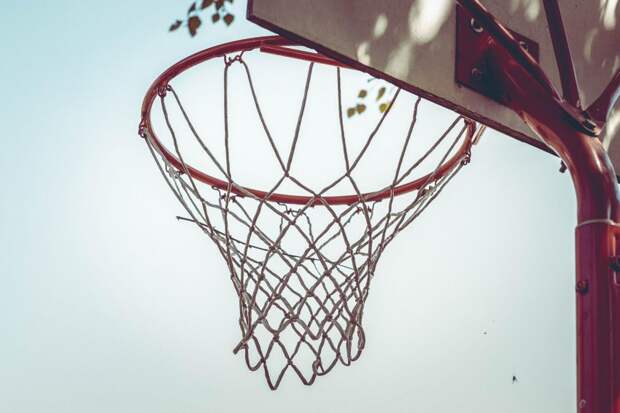 Фото: pixabay.com