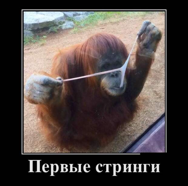 Демотиваторы (30 фото)