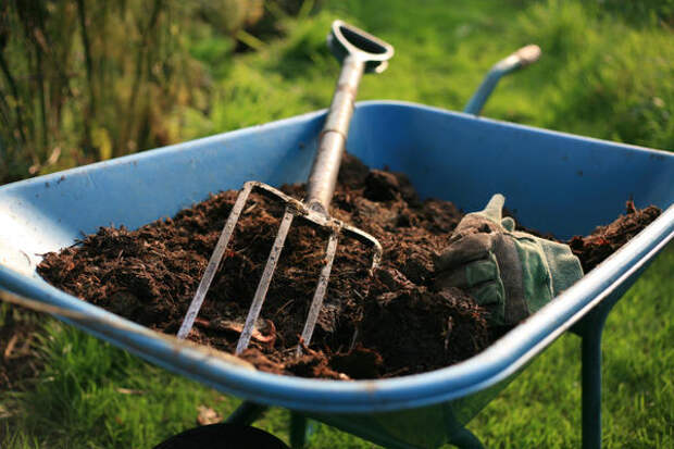 Правильно приготовленный компост поможет почве восстановить жизненные силы и повысить плодородие, улучшит ее структуру