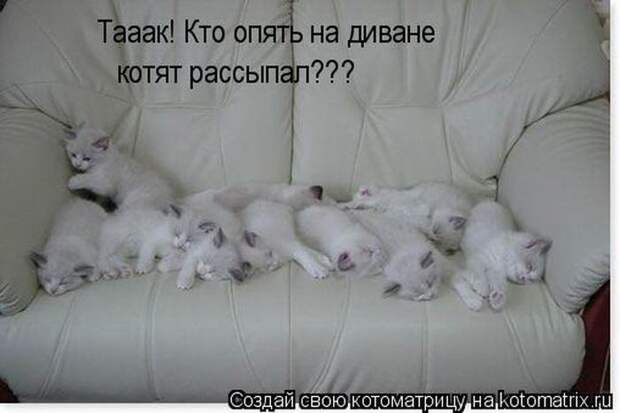 Мысли вслух :)