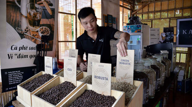 Как кофе стал одной из основ экономики Вьетнама и его национальным символом