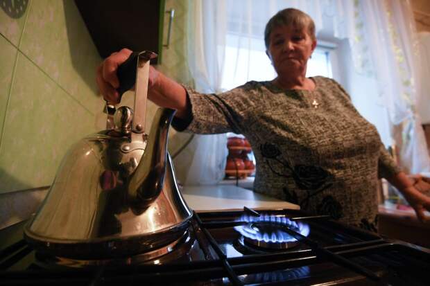 Путин призвал работать по социальной газификации вместе с регионами