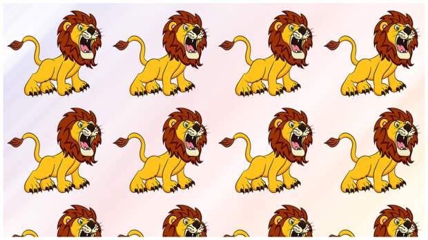 Тест на внимательность: найдите за одну минуту чем отличается один из львов среди остальных
