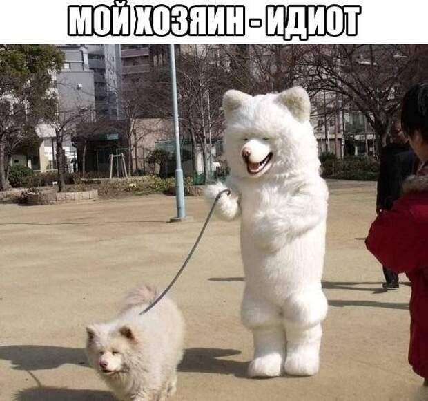 Смешные картинки с надписями для веселья (10 фото) Смешные картинки с надписями для веселья (10 фото)