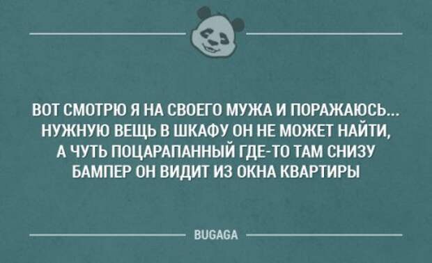 Прикольные картинки понедельника (41 шт)