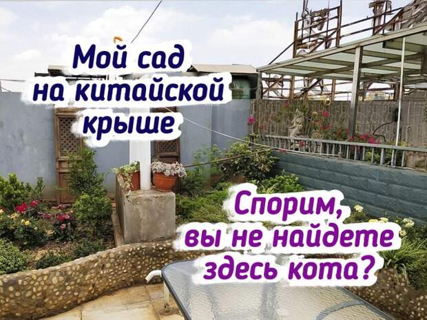 Сады, глядя на которые хочется срочно взять лопату и сделать так же