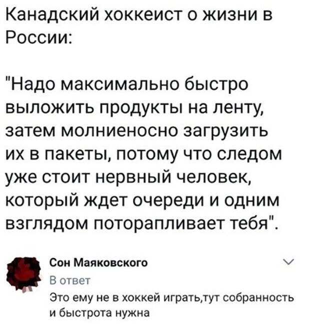 Лучшие смешные картинки