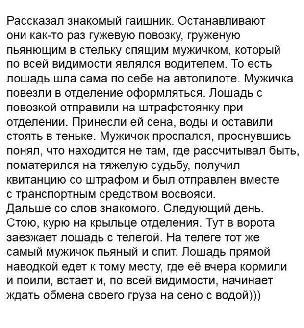 Смешное из реальной жизни. Жизненные истории из жизни реальных людей. Прикольные истории из жизни людей реальные короткие. Ржачные истории из жизни реальных людей. Интересные истории из реальной жизни короткие.