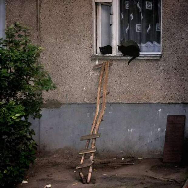 Строительные приколы ошибки и маразмы. Подборка chert-poberi-build-chert-poberi-build-31310614122020-10 картинка chert-poberi-build-31310614122020-10