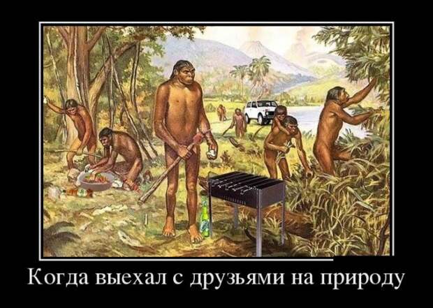 Демотиваторы (30 фото)