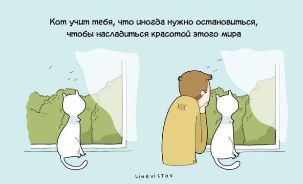 Преимущества жизни с котом