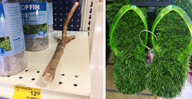 Голова идет кругом от этих экзотических товаров со всех уголков мира