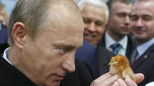 Bloomberg: Путин возрождает советскую суперкурицу