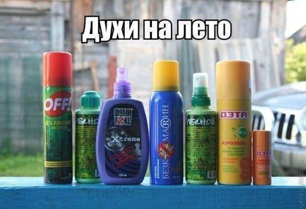 Духи на дачу, фото с сайта smishok.com