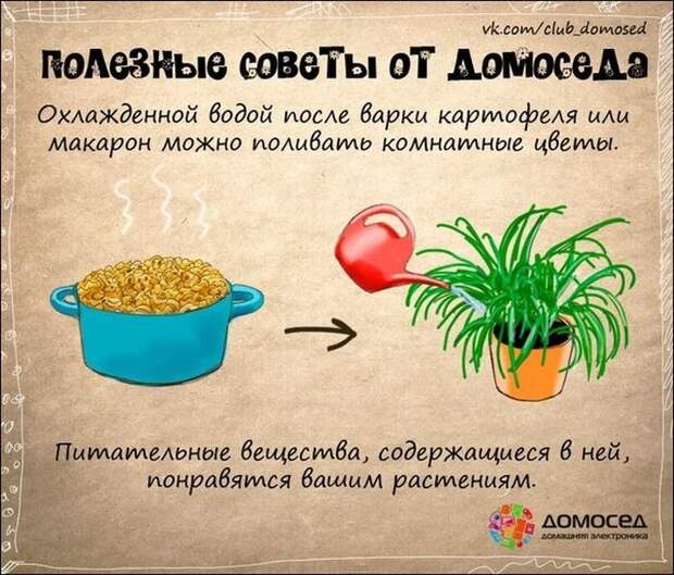 Полезные советы по дому (19 фото)