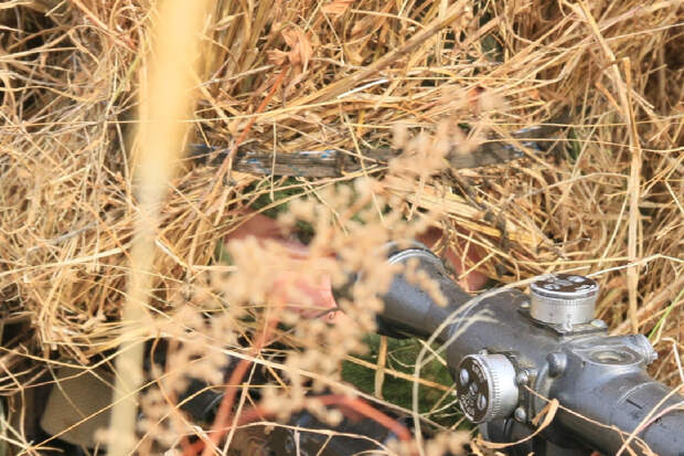 В Амурской области снайперы Восточного военного округа уничтожили условного противника на полигоне