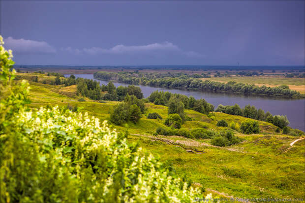 Рязанские красоты