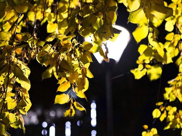 Тоболяки сегодня останутся без электричества