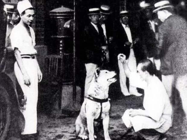 Хатико с хозяином профессором Уэно, 1924 год.