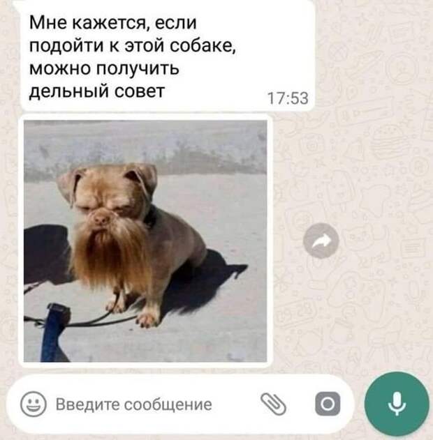 Смешные комментарии из социальных сетей Смешные комментарии из социальных сетей