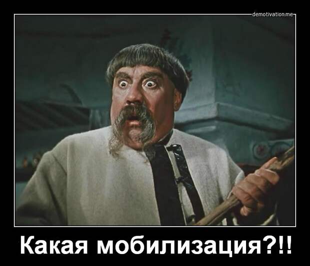 какая мобилизация?!!
