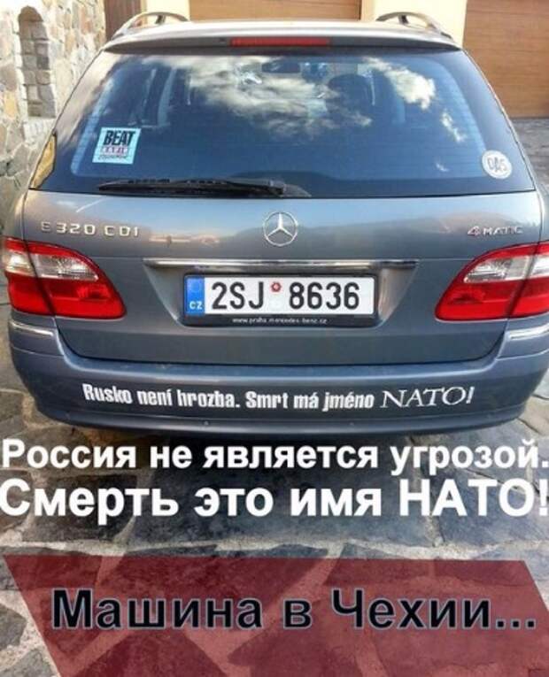 8b0db74ede56.jpg