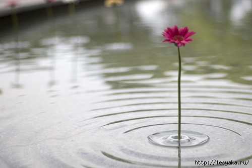 FloatingVaseOODesign09 (500x334, 89Kb)