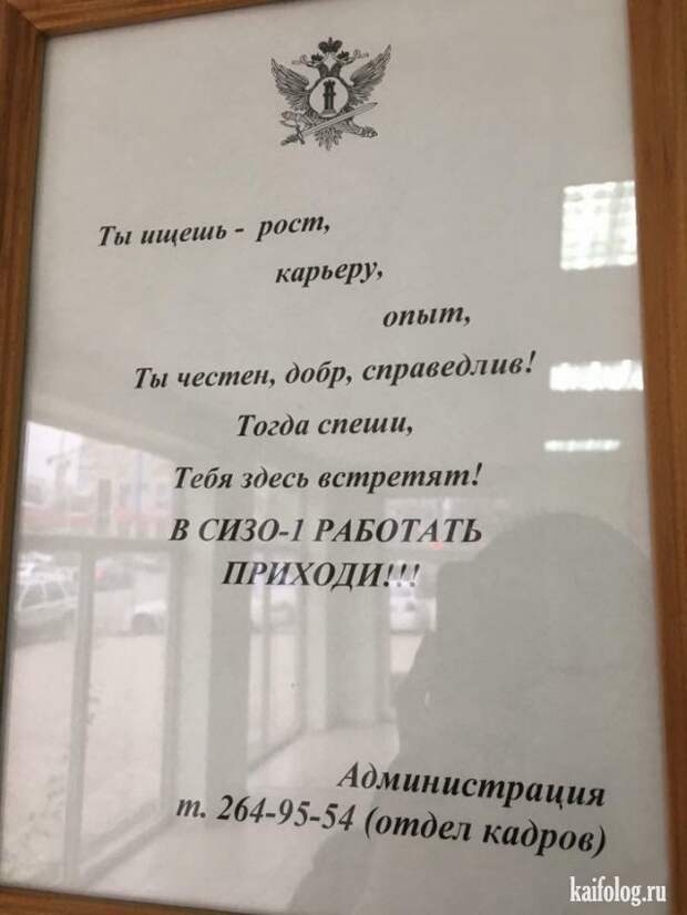 Маразмы и приколы из России (45 фото)