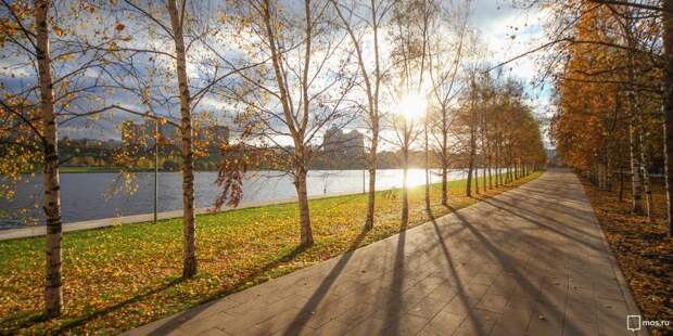 Воздух на юго-востоке столицы не содержит вредных примесей Фото: mos.ru