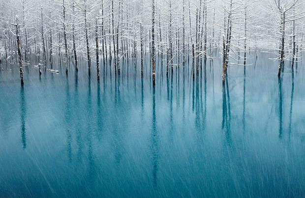 Великолепные снежные пейзажи Gorgeous Winter Landscapes 2 Великолепные снежные пейзажи