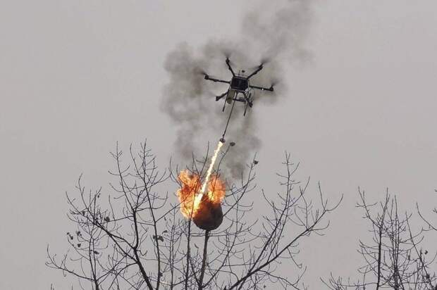 Подборка прикольных картинок