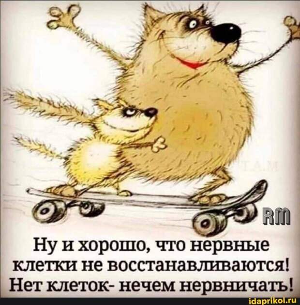 Возможно, это изображение (текст «१ RM Hy и хорошо, что нервные клетки не восстанавливаются! аются! нет клеток- нечем нервничать! idaprikol.ru»)