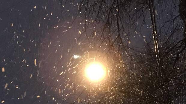 Синоптик Тишковец назвал прошедшую ночь в Москве самой морозной в новом году