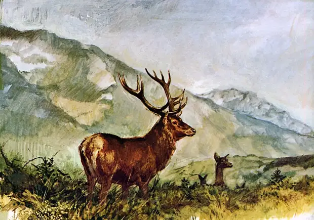 �������� ��� ���������.