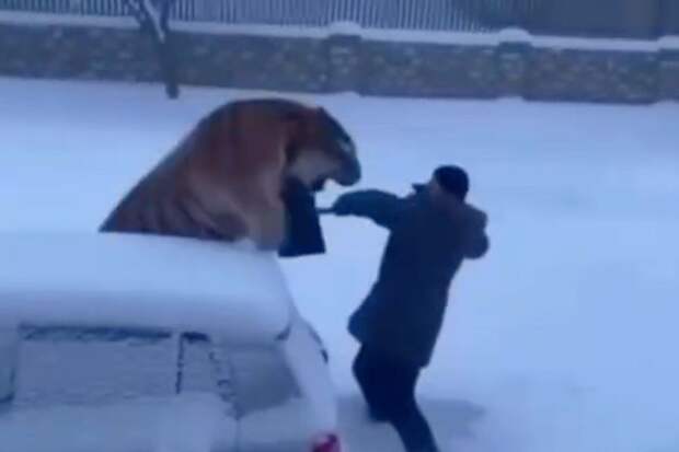 Приморский край назван дальневосточной «меккой» для кадров с навыком работы с нейросетями