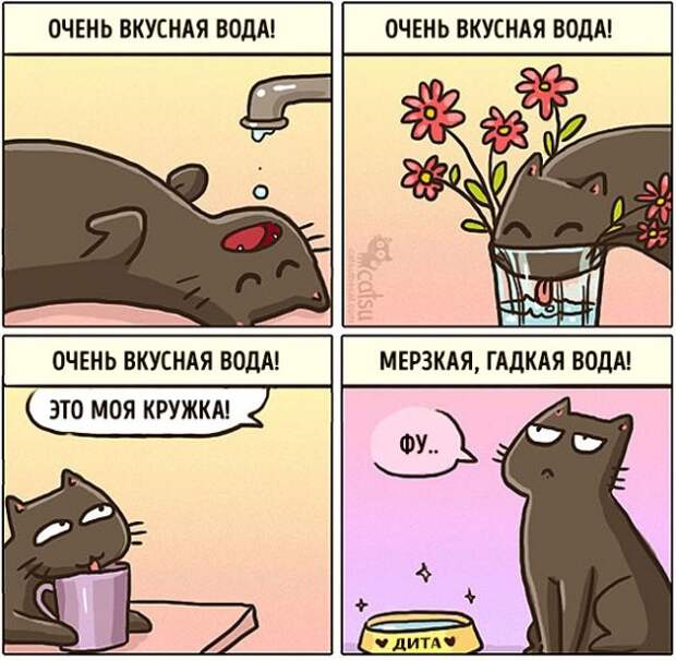 Как меняется жизнь с появлением в доме кота (20 картинок)
