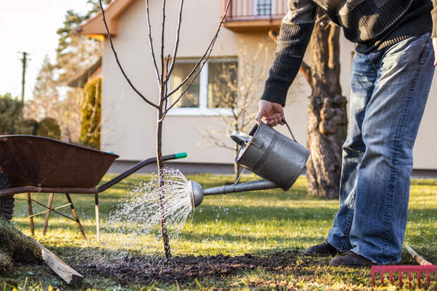 KP.RU: дачникам важно не верить рассылкам, чтобы не стать жертвой мошенников