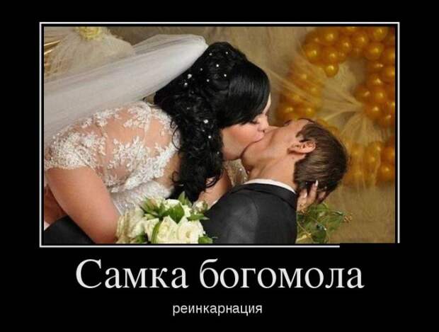 Пятничные демотиваторы для веселья (11 фото)
