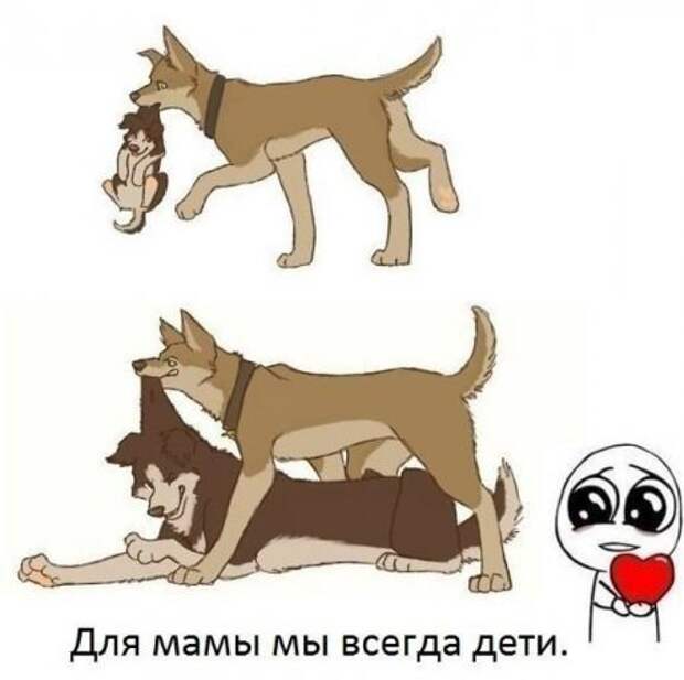 Фотоприколы по всем правилам!