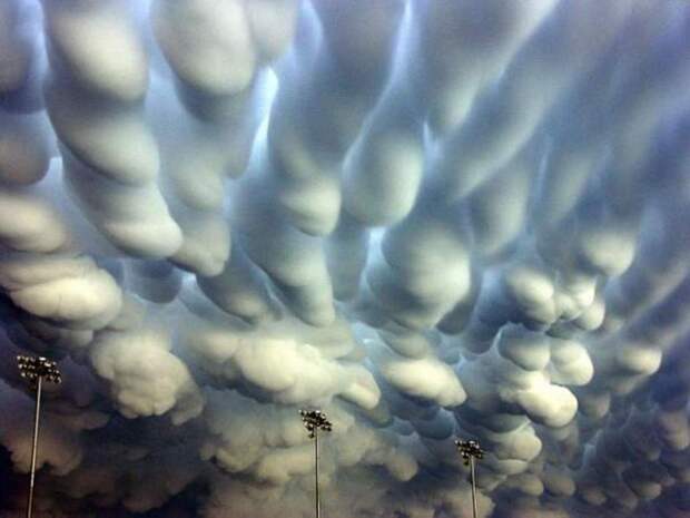 Картинки по запросу Undulatus asperatus или шероховато-бугристые волны