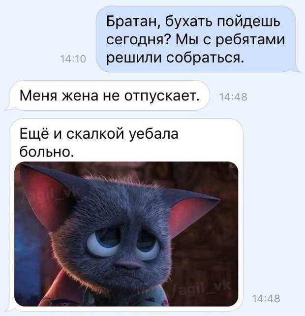rDlmmZSSojg