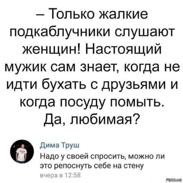 20 классных анекдотов и шуточек и всяких забавностей в картинках для чудесного настроения