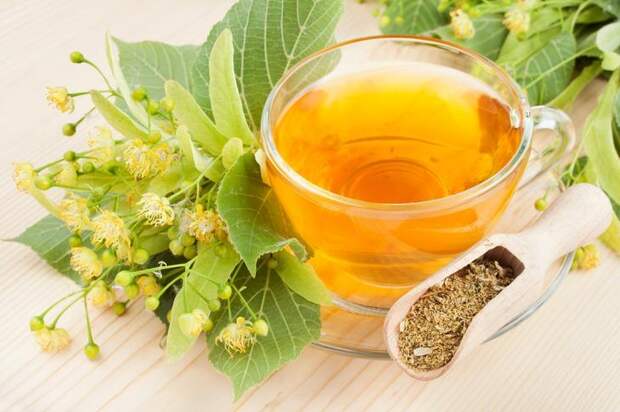Узнайте чем полезен чай из липы и его целебные свойства