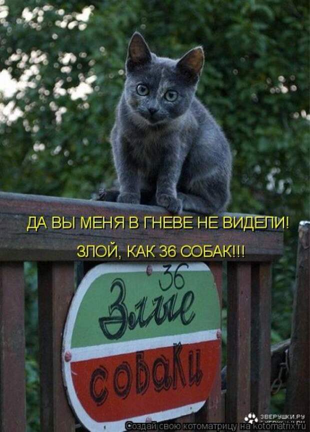 Мысли вслух :)